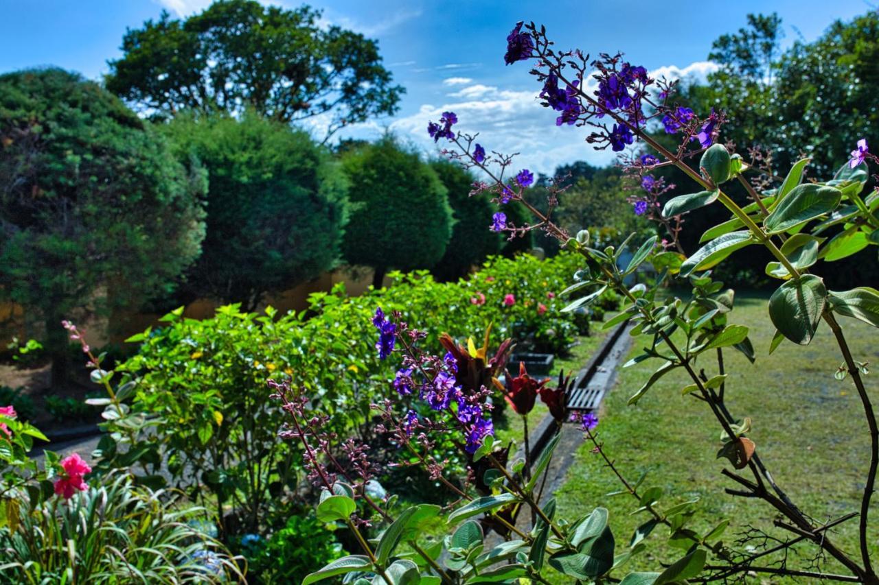 Hotel Villa Zurqui San Isidro  Exteriér fotografie