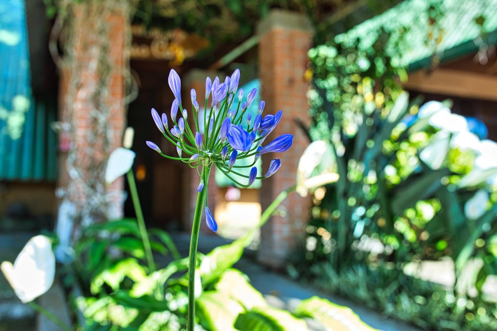 Hotel Villa Zurqui San Isidro  Exteriér fotografie